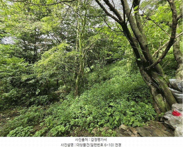 2025타경1165 전북특별자치도 장수군 장수읍 수분리 955 농지 경매 이미지