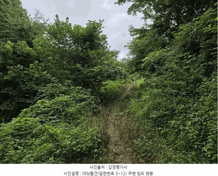 2025타경1165 전북특별자치도 장수군 장수읍 수분리 955 농지 경매 이미지