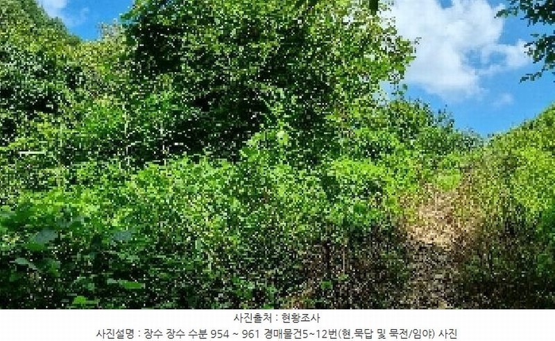 2025타경1165 전북특별자치도 장수군 장수읍 수분리 955 농지 경매 이미지