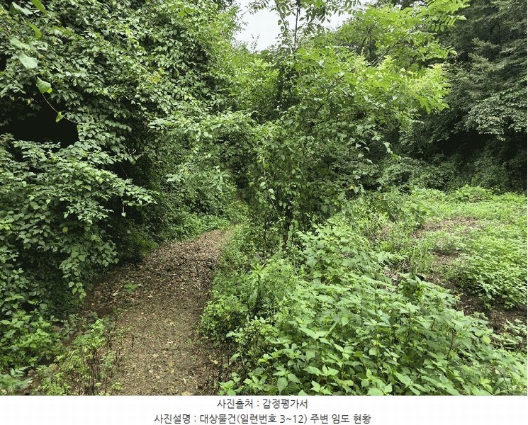 2025타경1165 전북특별자치도 장수군 장수읍 수분리 955 농지 경매 이미지