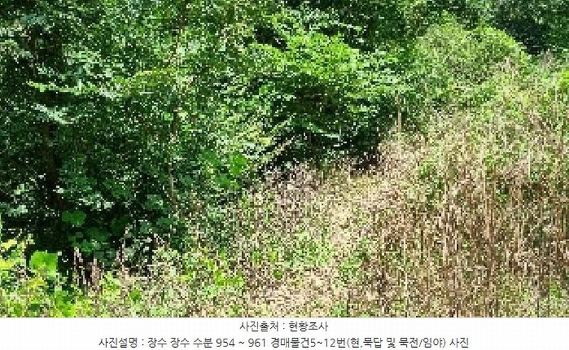 2025타경1165 전북특별자치도 장수군 장수읍 수분리 955 농지 경매 이미지