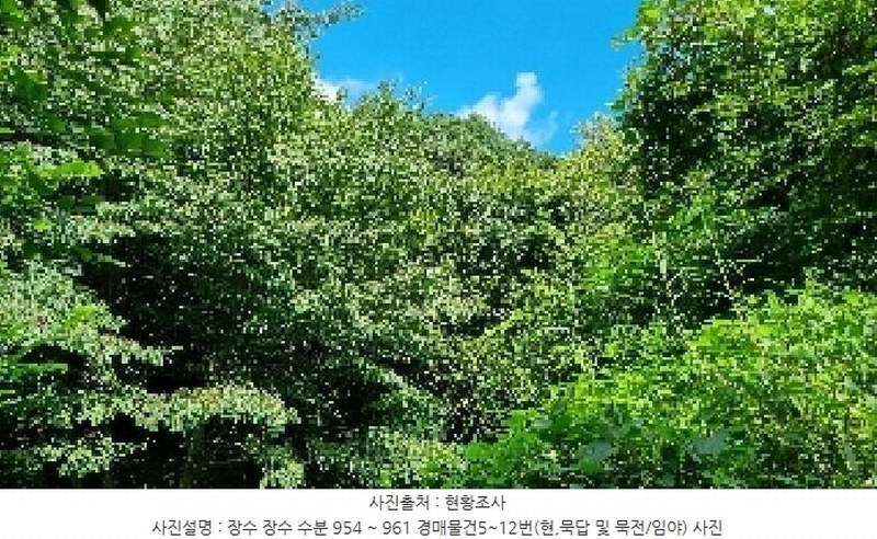 2025타경1165 전북특별자치도 장수군 장수읍 수분리 954 농지 경매 이미지