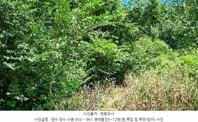2025타경1165 전북특별자치도 장수군 장수읍 수분리 954 농지 경매 이미지