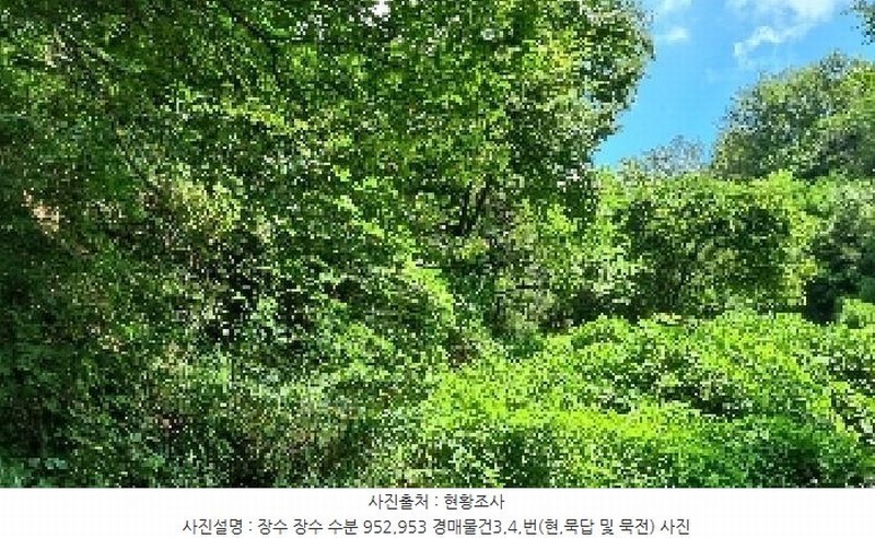 2025타경1165 전북특별자치도 장수군 장수읍 수분리 953 농지 경매 이미지
