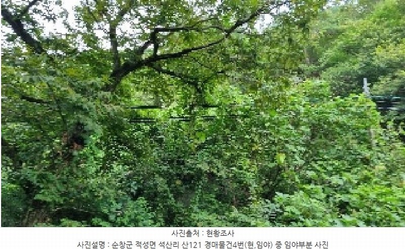 2025타경30235 전북특별자치도 순창군 적성면 석산리 산121 임야 경매 이미지