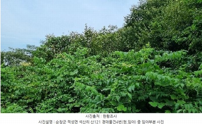 2025타경30235 전북특별자치도 순창군 적성면 석산리 산121 임야 경매 이미지