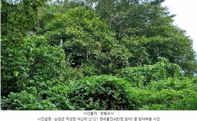2025타경30235 전북특별자치도 순창군 적성면 석산리 산121 임야 경매 이미지