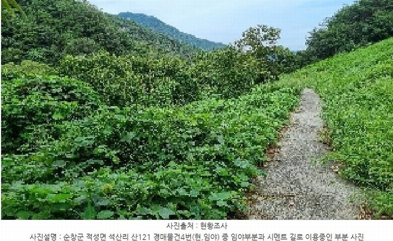 2025타경30235 전북특별자치도 순창군 적성면 석산리 산121 임야 경매 이미지