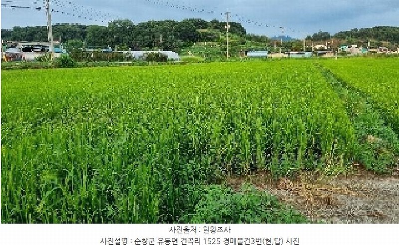 2025타경30235 전북특별자치도 순창군 유등면 건곡리 1525 농지 경매 이미지