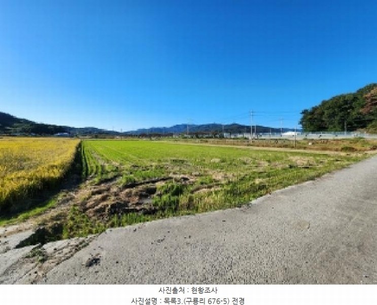 2025타경658 전라남도 순천시 별량면 구룡리 676-5 농지 경매 이미지