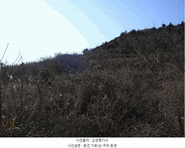 2025타경731 전라남도 여수시 삼산면 서도리 614 농지 경매 이미지