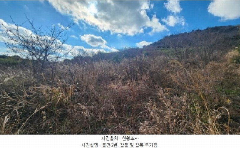 2025타경731 전라남도 여수시 삼산면 서도리 614 농지 경매 이미지