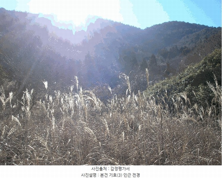 2025타경731 전라남도 여수시 화정면 개도리 411 농지 경매 이미지