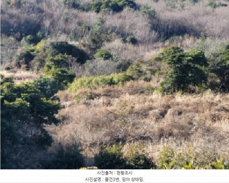 2025타경731 전라남도 여수시 화정면 개도리 411 농지 경매 이미지
