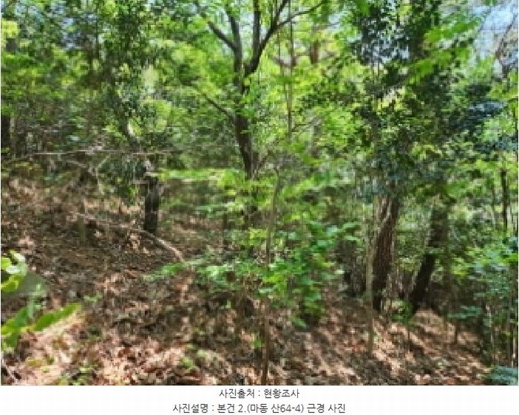 2025타경51385 전라남도 광양시 마동 산64-4 임야 경매 이미지