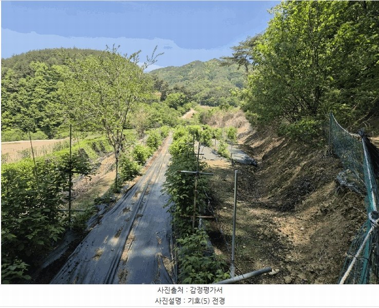 2025타경5313 경상북도 문경시 동로면 석항리 316 농지 경매 이미지
