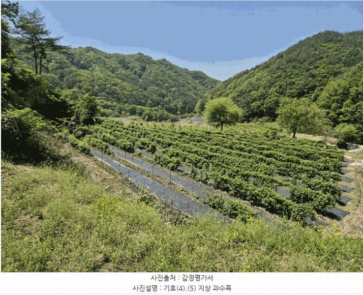 2025타경5313 경상북도 문경시 동로면 석항리 316 농지 경매 이미지
