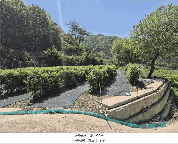 2025타경5313 경상북도 문경시 동로면 석항리 316 농지 경매 이미지