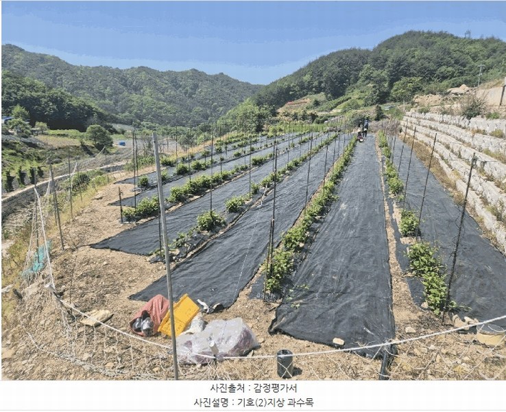 2025타경5313 경상북도 문경시 동로면 석항리 271 농지 경매 이미지