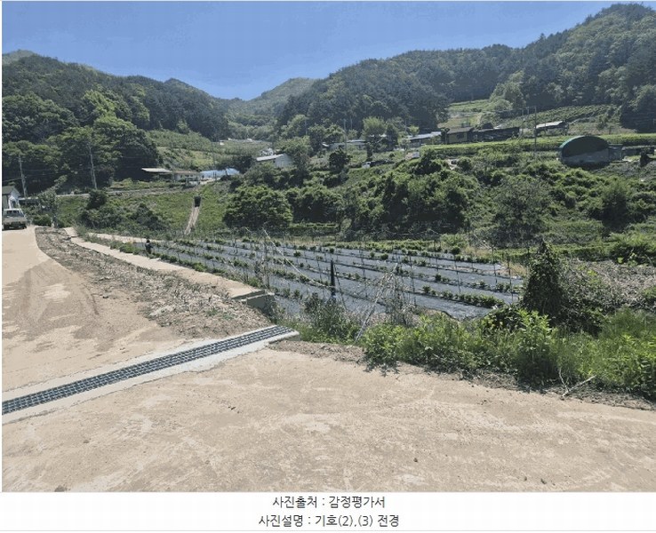 2025타경5313 경상북도 문경시 동로면 석항리 271 농지 경매 이미지