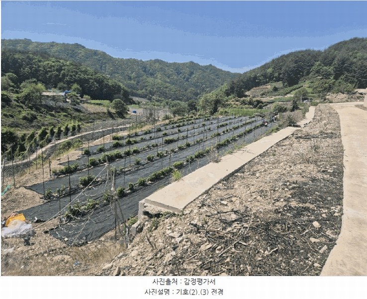 2025타경5313 경상북도 문경시 동로면 석항리 271 농지 경매 이미지