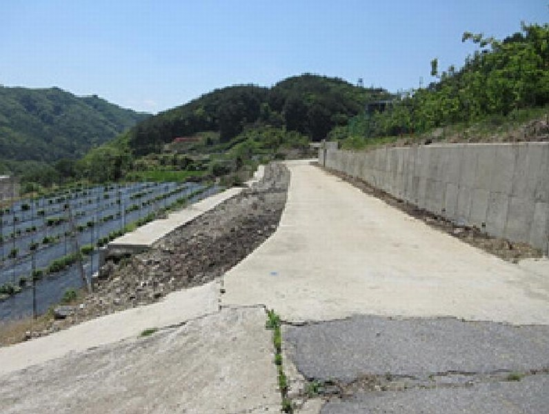 2025타경5313 경상북도 문경시 동로면 석항리 271 농지 경매 이미지