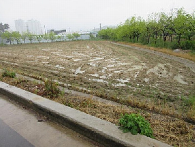 2025타경5311 경상북도 상주시 냉림동 28-5 농지 경매 이미지