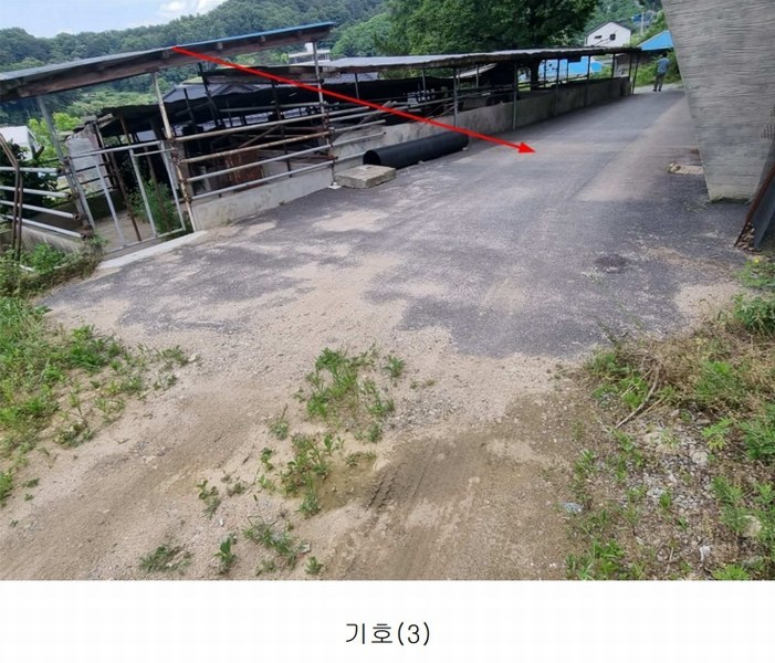2025타경3577 세종특별자치시 금남면 호탄리 114-1 근린시설 경매 이미지