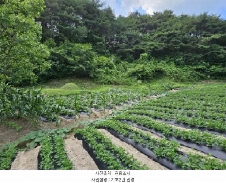 2025타경100391 경상북도 봉화군 법전면 눌산리 1065 농지 경매 이미지
