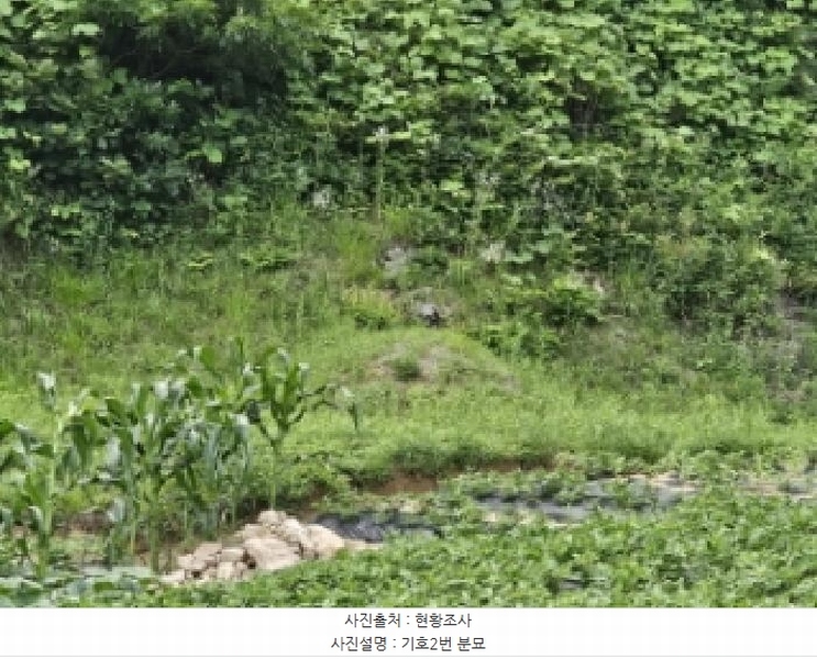 2025타경100391 경상북도 봉화군 법전면 눌산리 1065 농지 경매 이미지