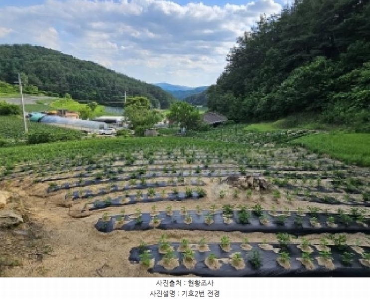 2025타경100391 경상북도 봉화군 법전면 눌산리 1065 농지 경매 이미지