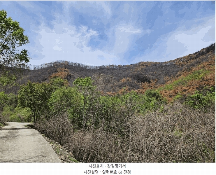 2025타경100299 경상북도 안동시 길안면 현하리 산96-1 임야 경매 이미지