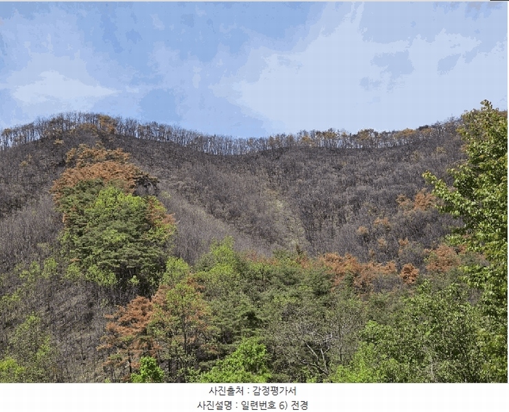 2025타경100299 경상북도 안동시 길안면 현하리 산96-1 임야 경매 이미지