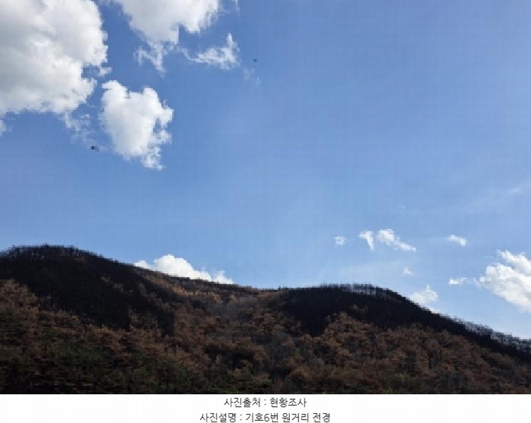 2025타경100299 경상북도 안동시 길안면 현하리 산96-1 임야 경매 이미지