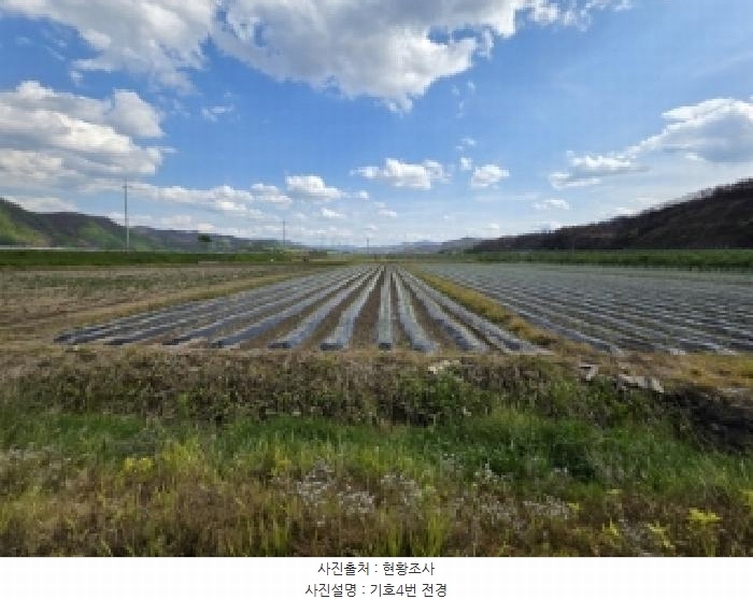 2025타경100299 경상북도 안동시 길안면 현하리 58 농지 경매 이미지