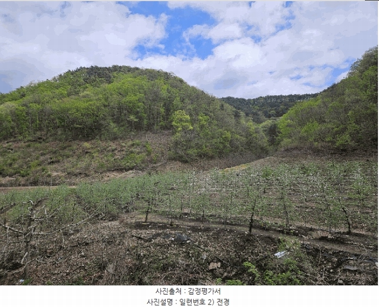 2025타경100299 경상북도 안동시 길안면 송사리 산68 임야 경매 이미지