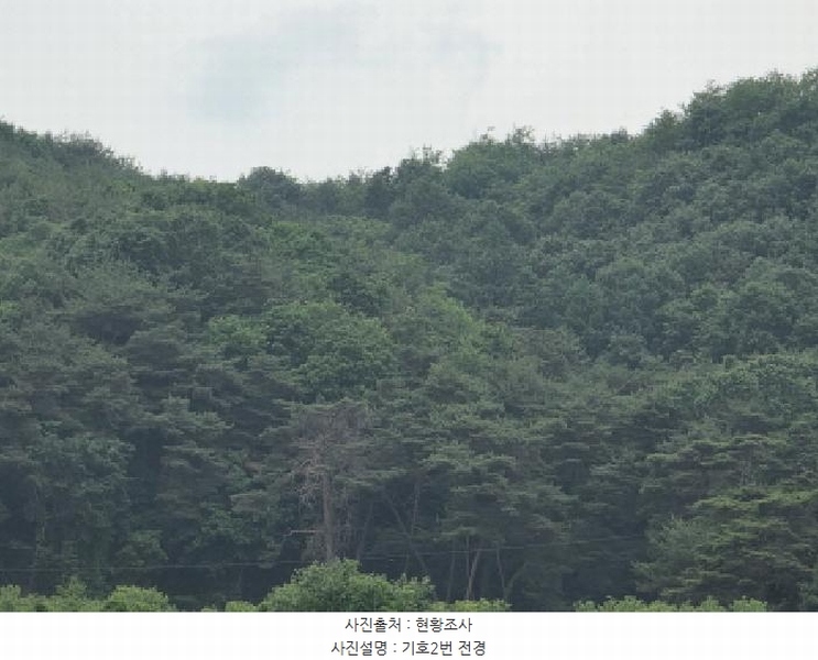 2025타경10549 경상북도 안동시 녹전면 사신리 1018 농지 경매 이미지