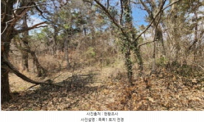 2025타경20683 전북특별자치도 군산시 옥산면 당북리 829-16 임야 경매 이미지