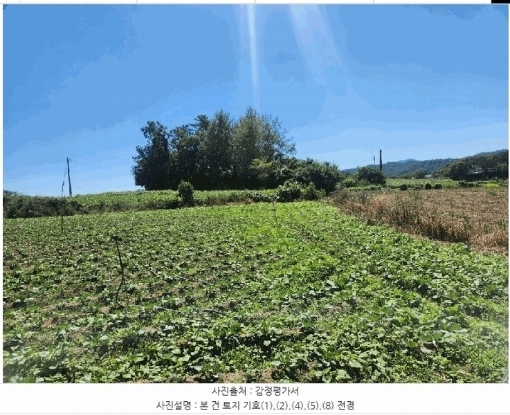 2025타경51464 전라남도 함평군 엄다면 송로리 936-2 농지 경매 이미지