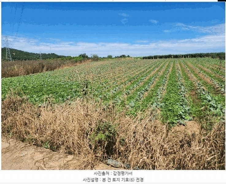 2025타경51464 전라남도 함평군 엄다면 송로리 936-2 농지 경매 이미지