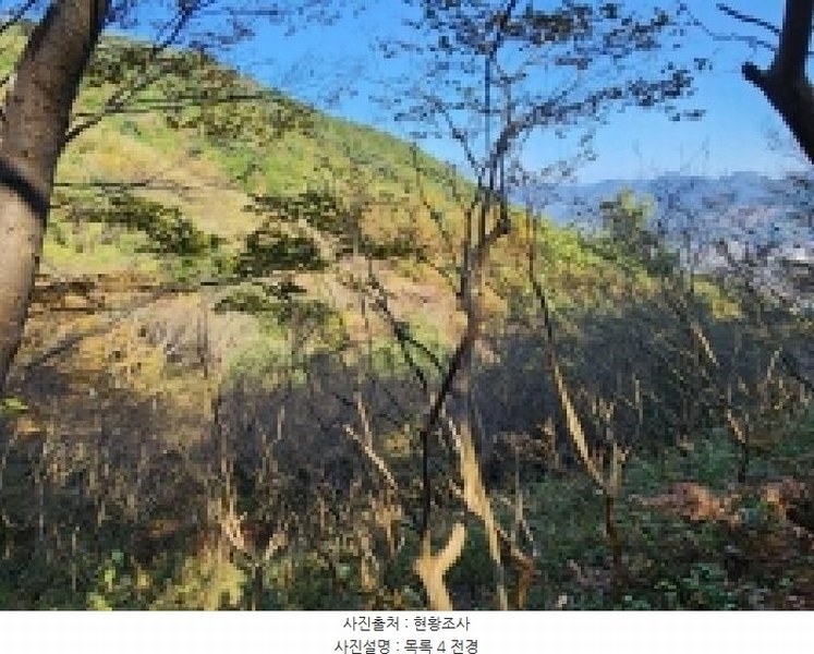 2025타경628 전라남도 순천시 승주읍 신성리 1116-1 창고 경매 이미지