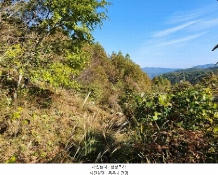 2025타경628 전라남도 순천시 승주읍 신성리 1116-1 창고 경매 이미지