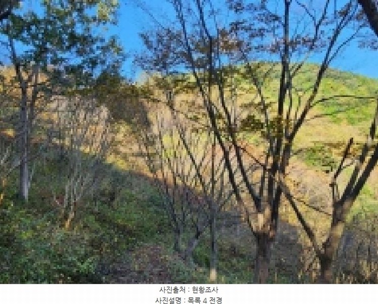 2025타경628 전라남도 순천시 승주읍 신성리 1116-1 창고 경매 이미지