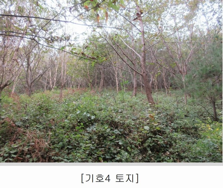 2025타경628 전라남도 순천시 승주읍 신성리 1116-1 창고 경매 이미지