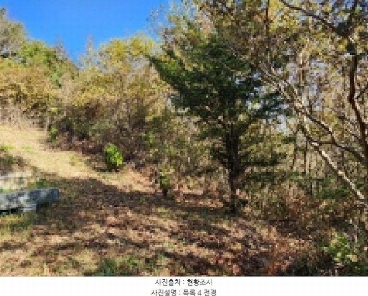 2025타경628 전라남도 순천시 승주읍 신성리 1116-1 창고 경매 이미지