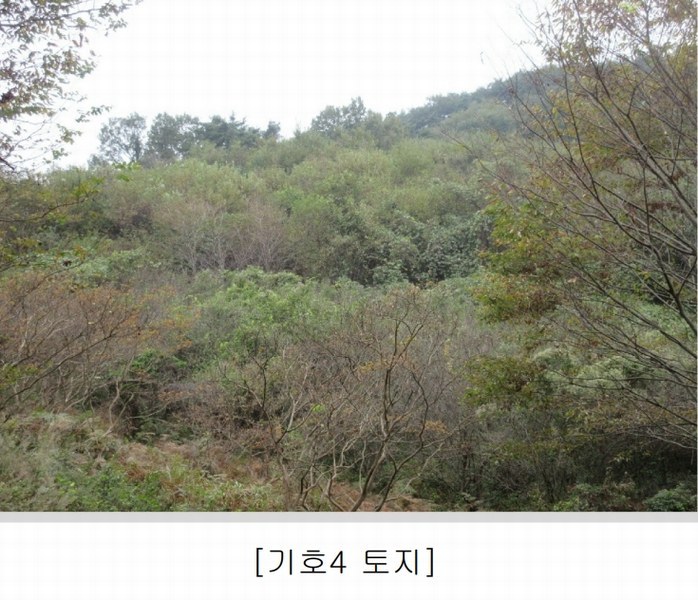 2025타경628 전라남도 순천시 승주읍 신성리 1116-1 창고 경매 이미지