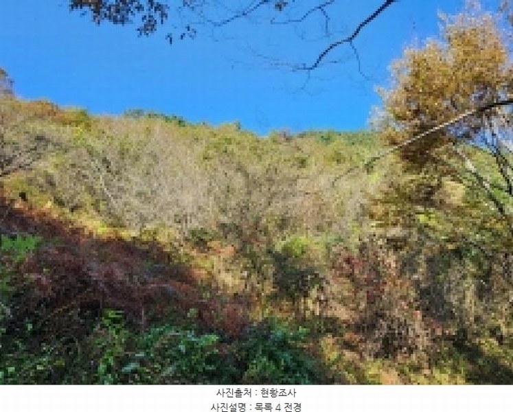 2025타경628 전라남도 순천시 승주읍 신성리 1116-1 창고 경매 이미지