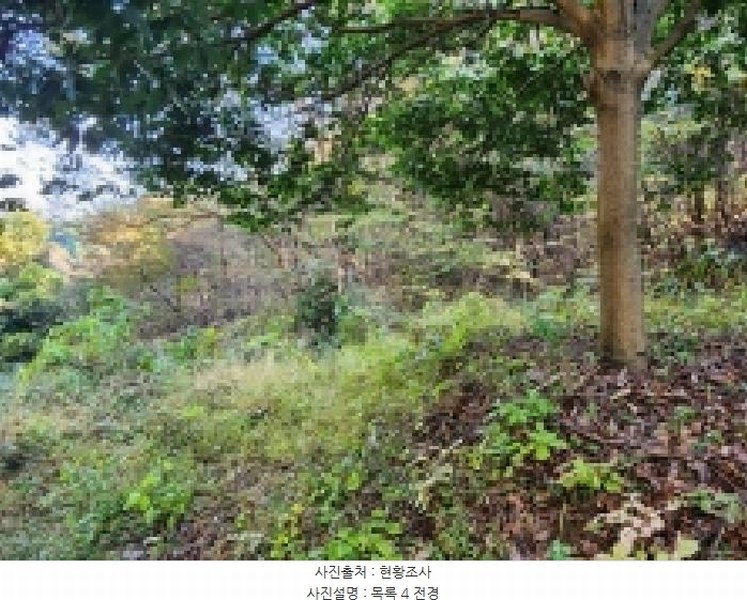 2025타경628 전라남도 순천시 승주읍 신성리 1116-1 창고 경매 이미지