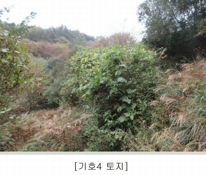 2025타경628 전라남도 순천시 승주읍 신성리 1116-1 창고 경매 이미지