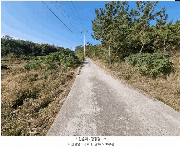 2025타경51583 전라남도 신안군 증도면 병풍리 산142 임야 경매 이미지